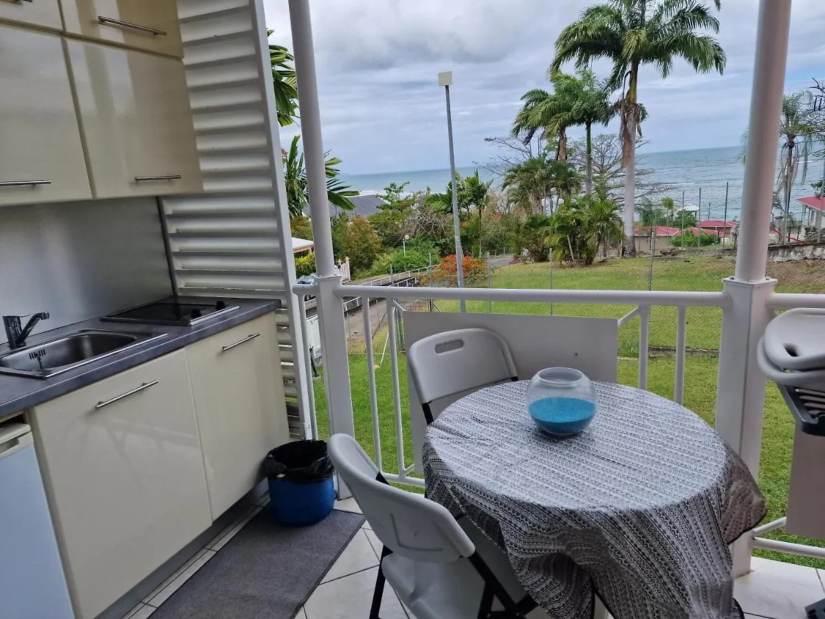 Appartement Spacieux Vue Sur Mer La Trinite Martinique